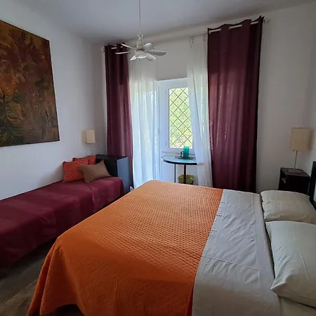 Ripe\'S Forest Garden Guest House