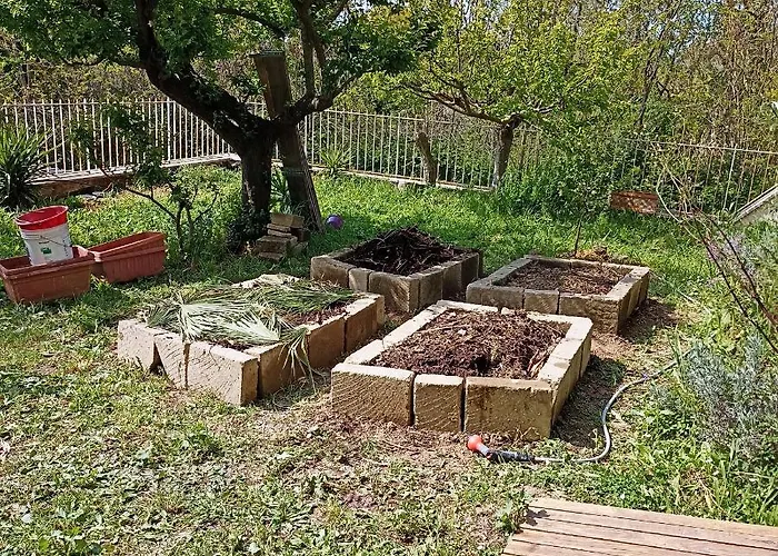 Ripe's Forest Garden Roma
