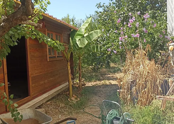 Ripe's Forest Garden Casa de hóspedes